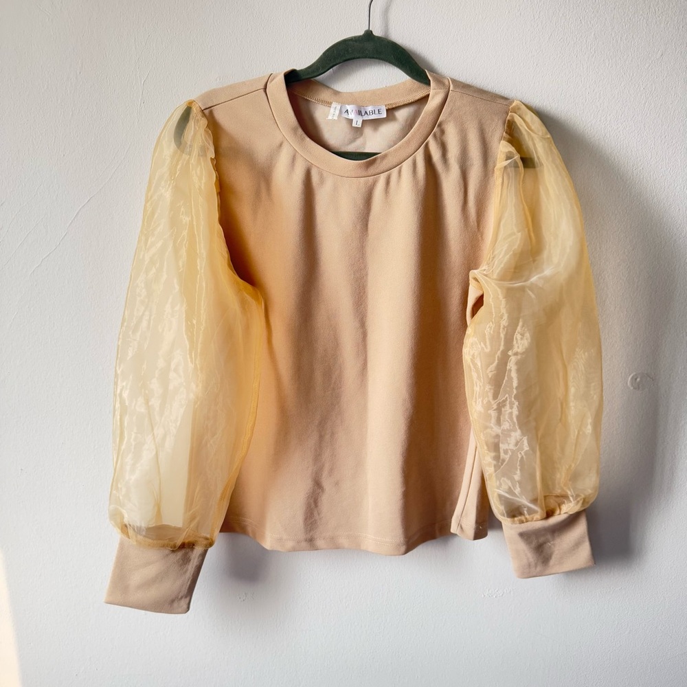 Beige Top with Sheer Sleeves - PTP 20